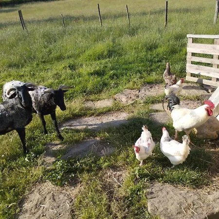 Larraldia Oda ve Kahvaltı *