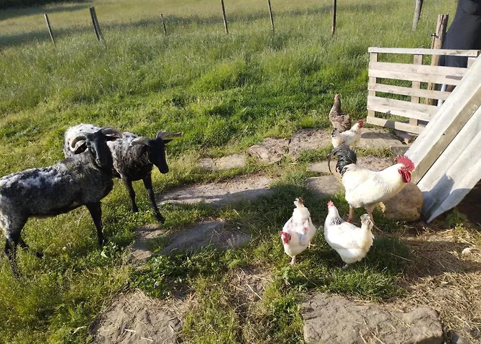 Larraldia לינה וארוחת בוקר *