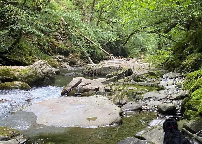 Larraldia Nocleg ze śniadaniem *